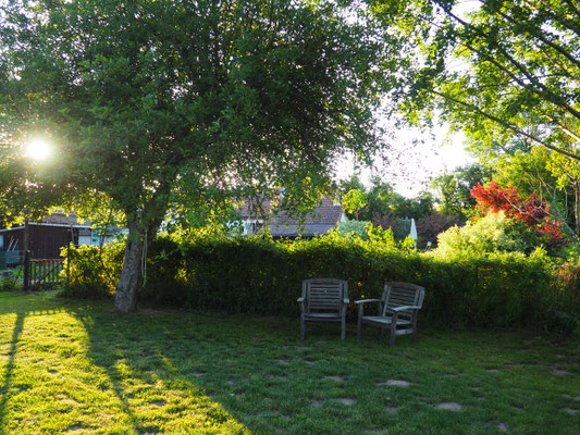 Friedlicher Sitzplatz unter dem alten Apfelbaum