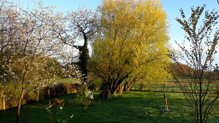 13.04. Frühe Morgenstimmung