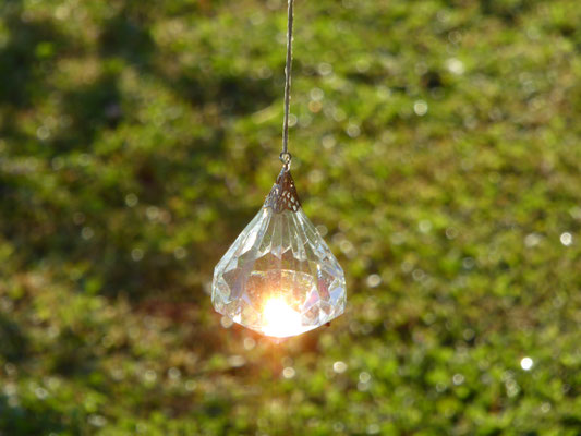 27.07. Diamanten am Baum