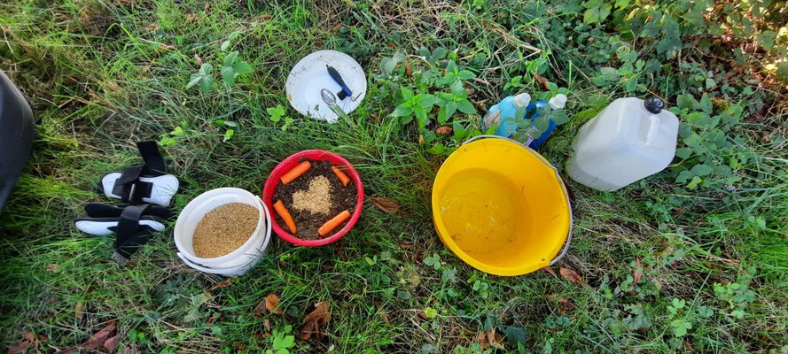 Pauline bereitet für uns alles vor: Mash - 2 Sorten - Hafer, Gurbe,  Futterprobe, Brandon XP, natürlich genug Wasser, aber auch frische Gamaschen  und der Hufkratzer