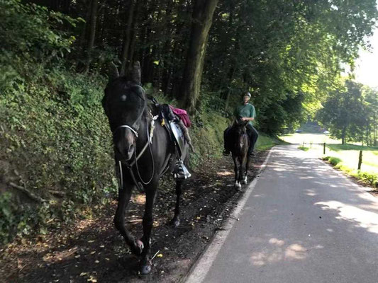 1. Tag auf dem Roten-Punkt-Weg am Wandererheim