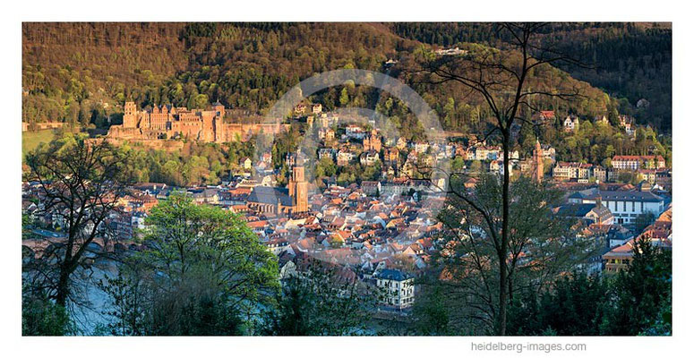 Archiv-Nr. hc2015120 | Heidelberg, Frühling über der Altstadt 