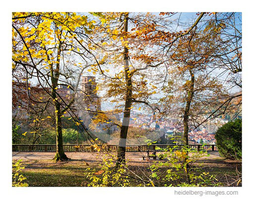 Archiv-Nr. hc2014177 / Herbstfarben auf dem Heidelberger Schloss