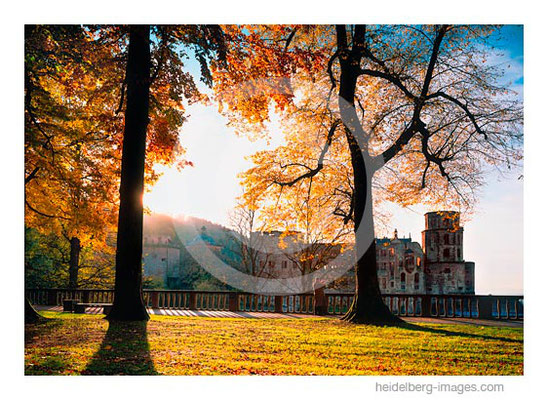 Archiv-Nr. hc2006171 / Auf dem Heidelberger Schloss im Herbst