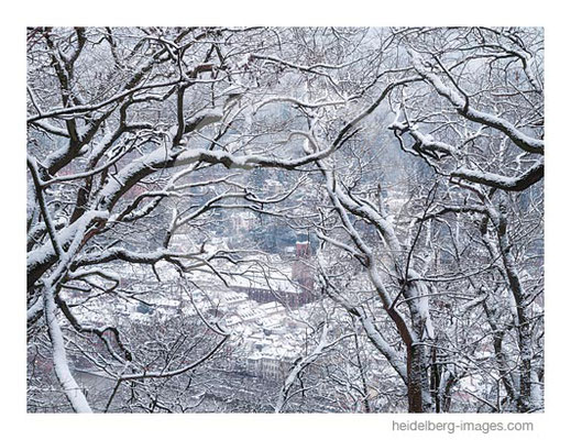 Archiv-Nr. hc2021137 |  Winter und Schnee - Heiliggeistkirche gerahmt von verschneiten Bäumen