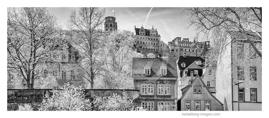 Archiv-Nr. h2015122 | Altstadtfassade mit Schlossblick