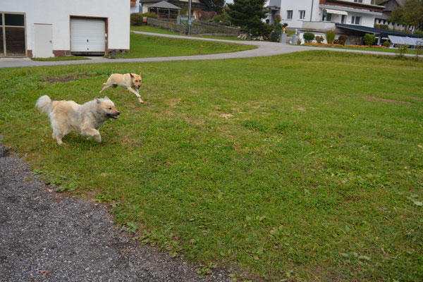 Beim Spielen mit meiner Freundin Luna