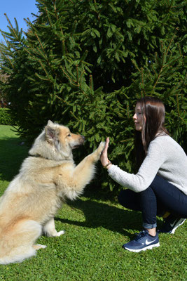 High five!