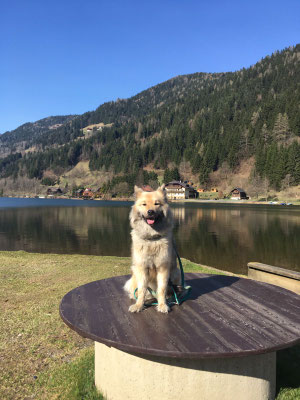 Beim Afritzer See 