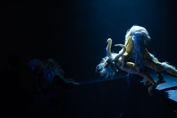 Animalia Paradoxa Lavinia Meijer Duda Paiva foto Sjoerd Derine