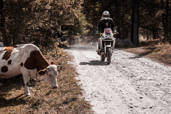 Africa Twin Bardonecchia Reiseenduro