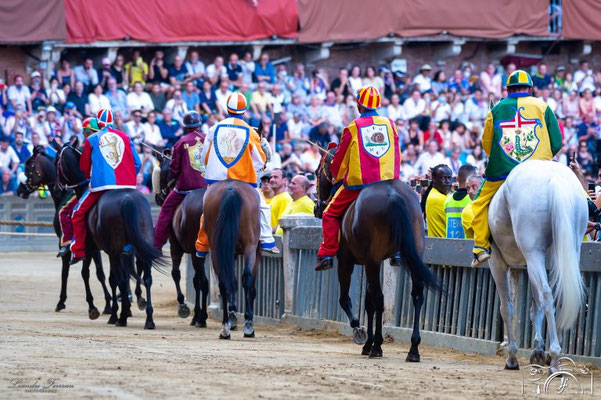 シエナのパリオ