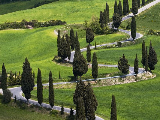 ピエンツァ・サンクイーリコ・モンタルチーノ・モンテプルチャーノ・オルチャ渓谷のオプショナルツアー