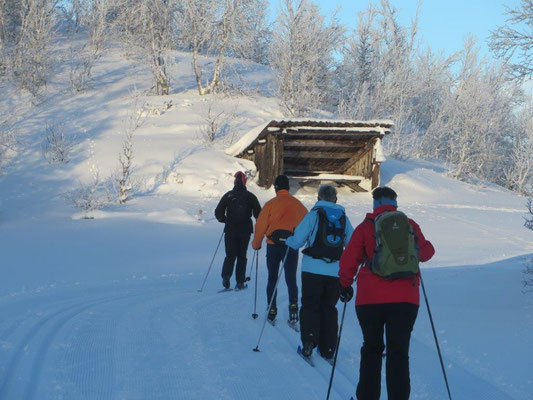 Aktivurlaub-Skilanglauf in Skandinavien geführte Touren mit dem Nordlandexperten Helmut Singer...