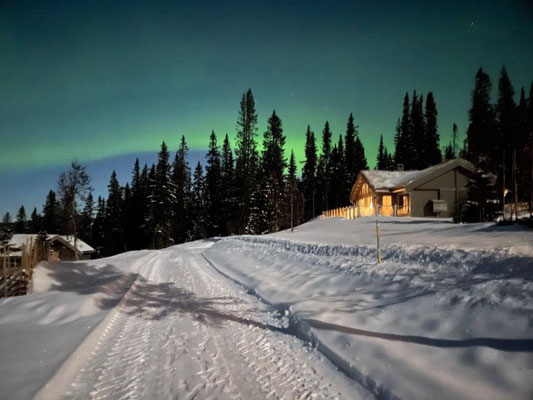 Nordlicher im Ski Urlaub erleben. Seien Sie dabei. Nordlandtouren bei SINGER Reisen & Versicherungen buchbar.