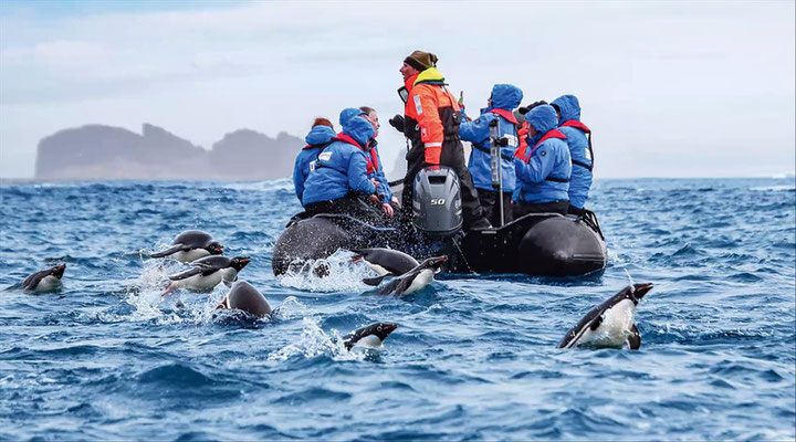 HX Expeditionen: Rund um Spitzbergen jetzt bei uns buchen. Mit dem SINGER PLUS Jubiläumsvorteil.