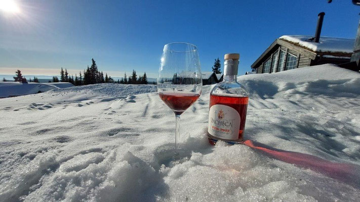 Portweintastings im Schnee....