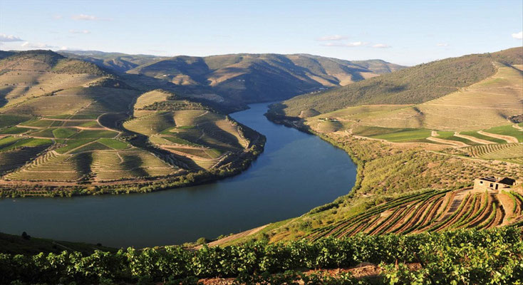 Portugal Douroflusskreuzfahrt Wein und Meer.