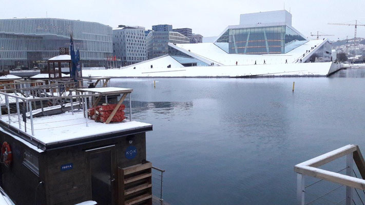 Sauna in Oslo mit Blick auf die Osloer Oper...