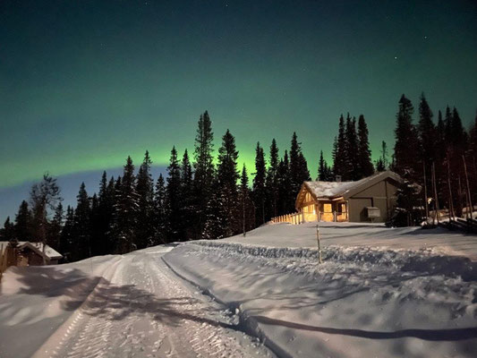 Nordlicher in Norwegen von der Hütte aus entdecken.  Hütten bei dem Nordlandexperten und Wanderleiter Helmut Singer buchen...m 