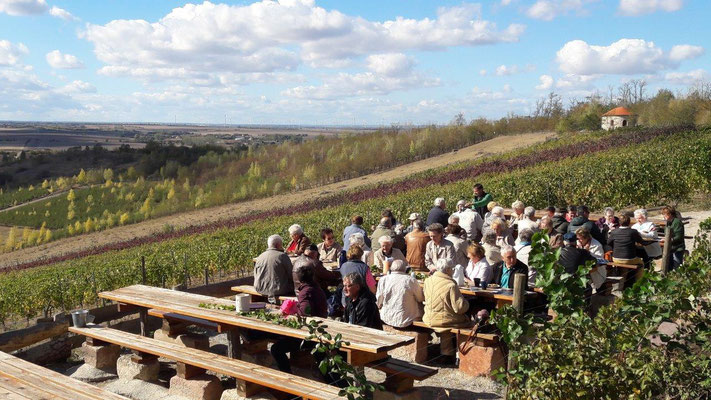 Deutschland Oberlausitz Themenreise - Weinverkostung auf einem ehemaliger Bergbauhang...