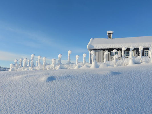 Norwegen SkiWinter Reisen entdecken und geniessen...