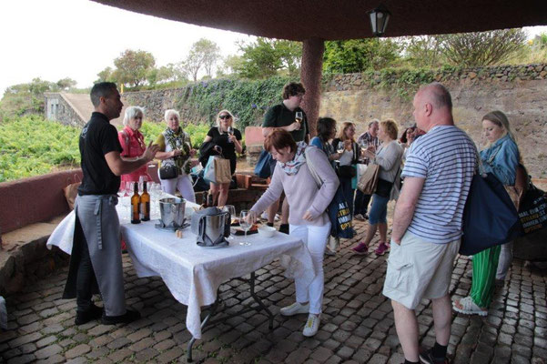 Weinverkostung - Tastings im Tal der Weine...
