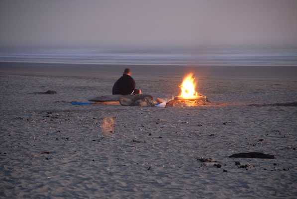 kalaloch, beach 2, pacific coast; wa