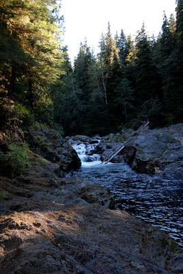 indian creek,olympic natl. park; wa