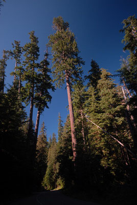 olympic natl. park; wa