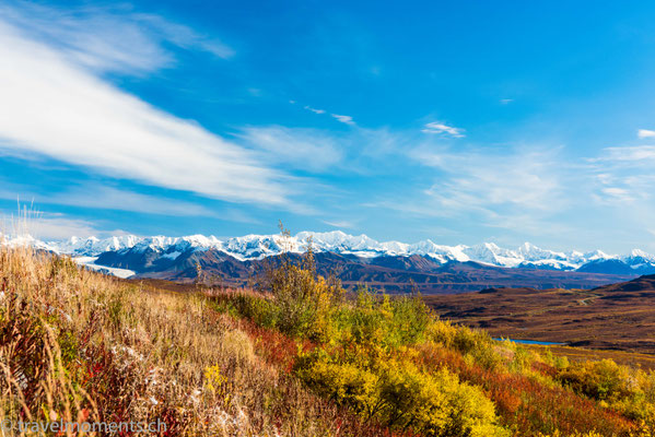 Denali Hwy