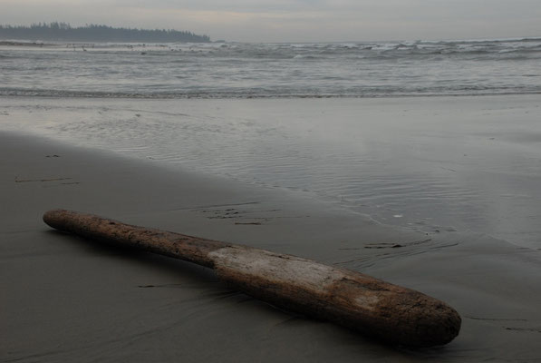 pacific coast, tofino, vancouver island; bc