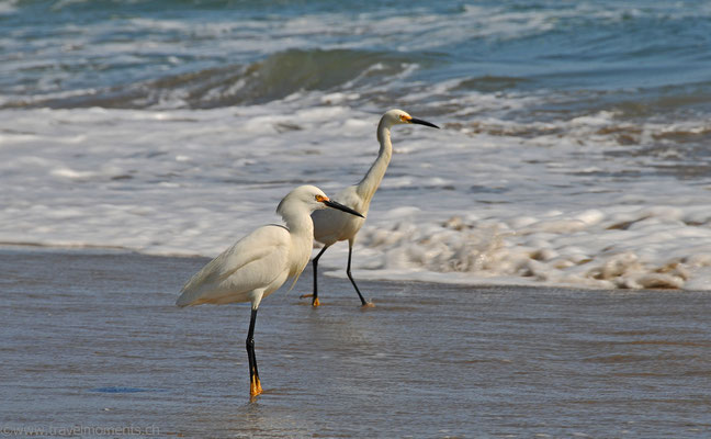 Huntington Beach