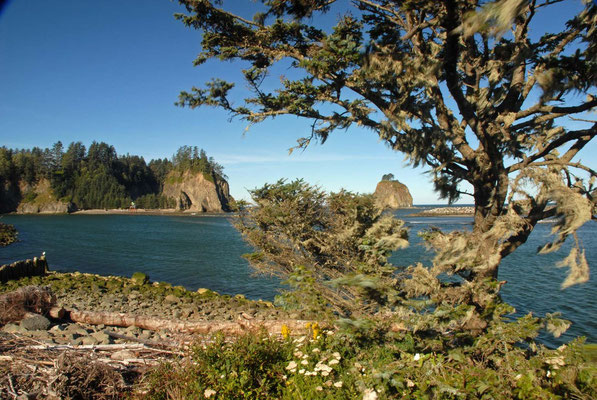 neah bay, makah indian reservation, pacific coast; wa