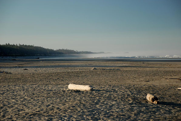 kalaloch, beach 2, pacific coast; wa