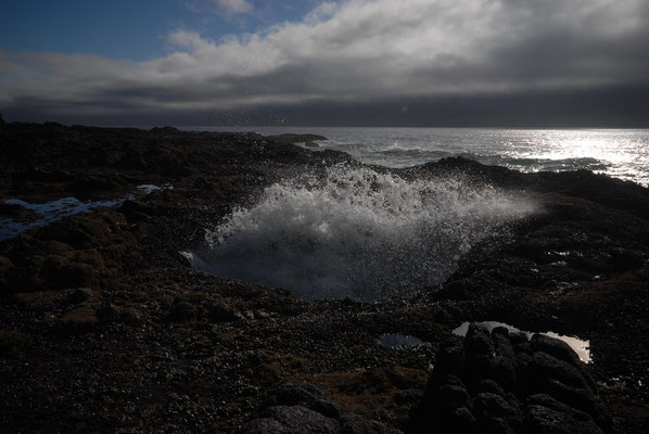 pacific coast; or