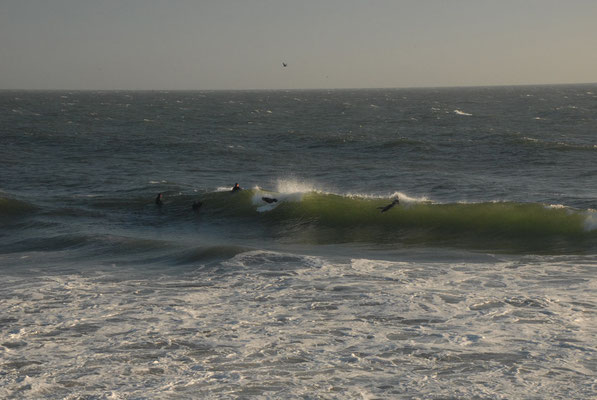 surfing at the rodeo cove, canon, near san francisco; ca