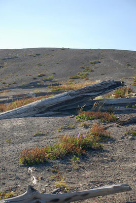 volcano, mount st. helens; wa