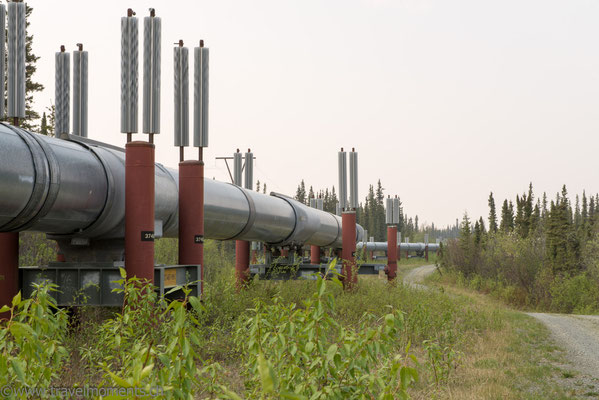 Trans-Alaska-Pipeline von Prudhoe Bay nach Valdez