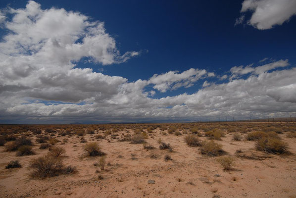 mojave desert; ca