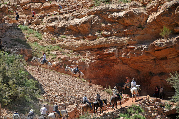 Grand Canyon NP