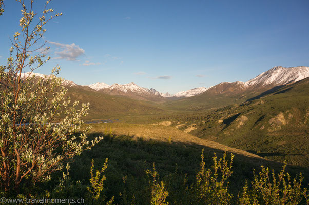 Tombstone Mountains