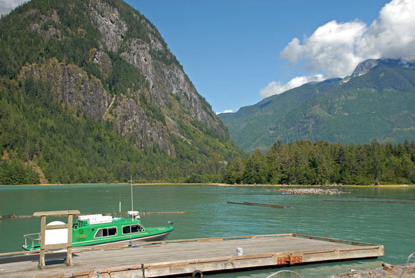 johnstone strait; bc