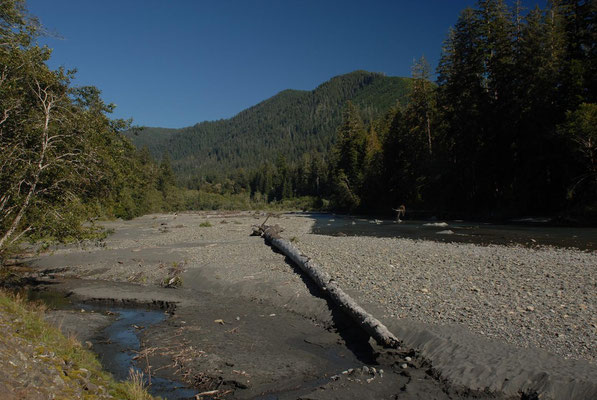 pacific coast, olympic natl. park; wa