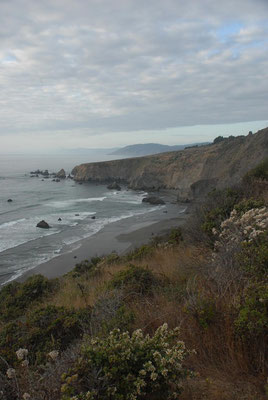 pacific coast, hwy 1; ca