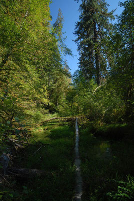 olympic natl. park; wa