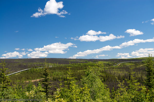 Dalton Hwy., Trans-Alaska Pipeline