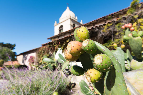 Mission San Carlos Borromeo de Carmelo - Carmel-by-the-Sea