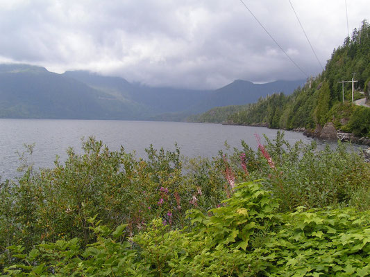 road to ucluelet, vancouver island; bc