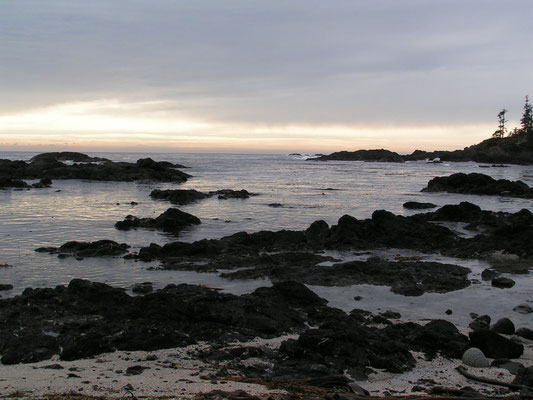 pacific coast, ucluelet, vancouver island; bc